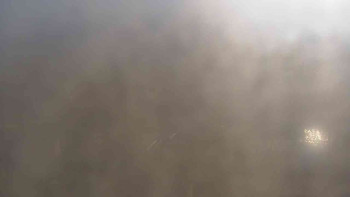 Snímek    31.10.2025 v 09:30