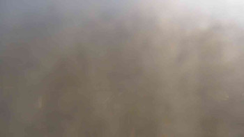 Snímek    31.10.2025 v 10:00