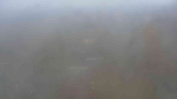 Snímek    1.11.2025 v 08:30