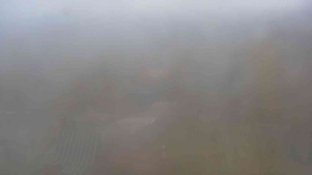 Snímek    3.11.2025 v 08:00