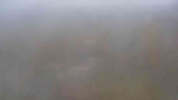 Snímek    3.11.2025 v 09:00