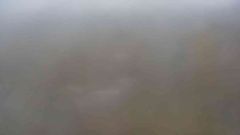 Snímek    3.11.2025 v 10:30