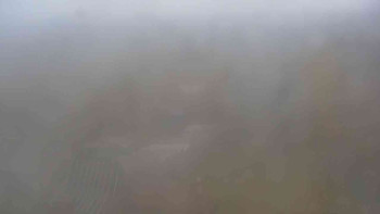 Snímek    3.11.2025 v 11:00