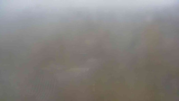 Snímek    3.11.2025 v 13:30