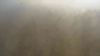 Snímek    4.11.2025 v 10:00