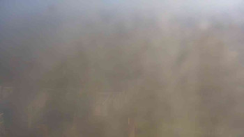 Snímek    4.11.2025 v 11:30