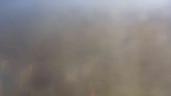 Snímek    4.11.2025 v 12:00