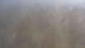 Snímek 5.11.2025 v 11:00