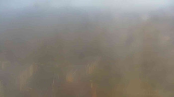 Snímek 5.11.2025 v 13:00