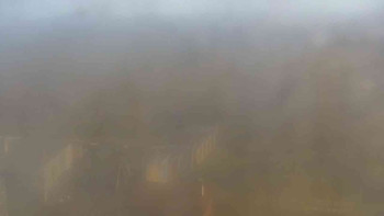 Snímek 5.11.2025 v 13:30