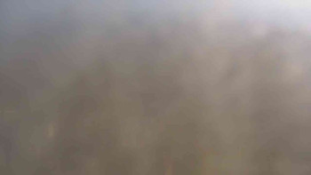 Snímek 6.11.2025 v 10:30