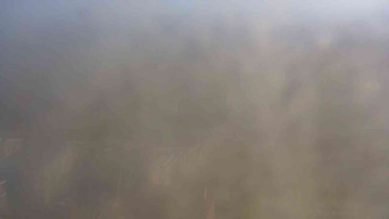 Snímek 6.11.2025 v 11:30