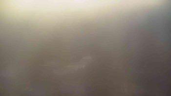 Snímek 7.11.2025 v 06:30