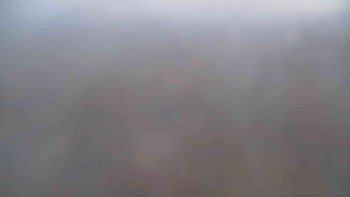 Snímek 7.11.2025 v 16:31