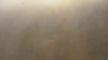 Snímek 8.11.2025 v 09:30