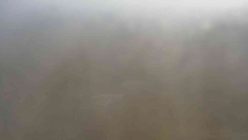 Snímek 8.11.2025 v 11:00