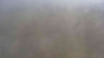 Snímek 8.11.2025 v 11:30