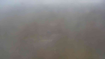 Snímek 8.11.2025 v 13:30