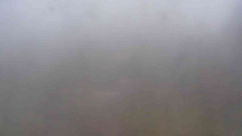 Snímek 9.11.2025 v 07:30