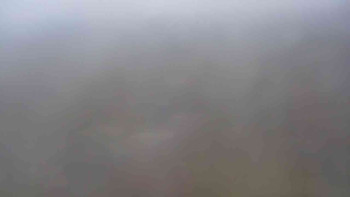 Snímek 9.11.2025 v 09:30