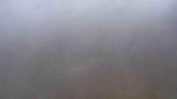 Snímek 9.11.2025 v 11:00