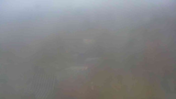 Snímek 9.11.2025 v 12:30