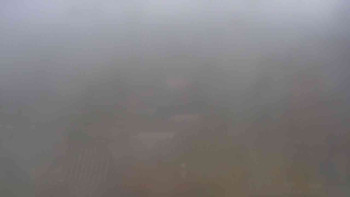 Snímek 16.11.2025 v 12:30