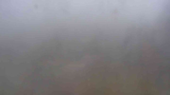 Snímek 17.11.2025 v 08:00