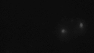 Klub biatlonu Břidličná - Pohled 4 - 22.12.2025 v 17:31 Klub biatlonu Břidličná - Pohled 4 - 22.12.2025 v 17:31