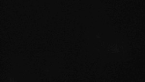 Klub biatlonu Břidličná - Pohled 4 - 24.12.2025 v 00:00 Klub biatlonu Břidličná - Pohled 4 - 24.12.2025 v 00:00