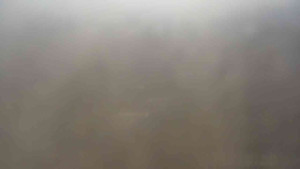 Klub biatlonu Břidličná - Pohled 4 - 1.4.2026 v 09:00 Klub biatlonu Břidličná - Pohled 4 - 1.4.2026 v 09:00