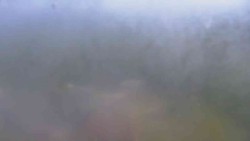 Widok 4