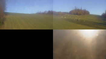 Snímek    31.10.2025 v 08:31