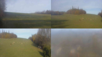 Snímek    31.10.2025 v 14:00