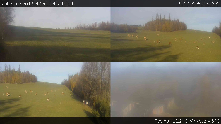 Klub biatlonu Břidličná - Pohledy 1-4 - 31.10.2025 v 14:20 Klub biatlonu Břidličná - Pohledy 1-4 - 31.10.2025 v 14:20