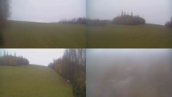 Snímek    3.11.2025 v 06:50