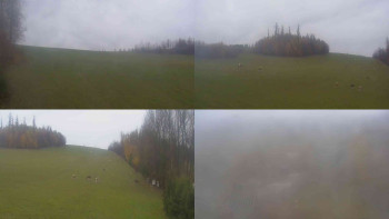 Snímek    3.11.2025 v 10:50