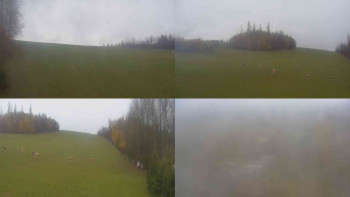 Snímek    3.11.2025 v 12:10