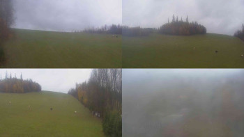 Snímek    3.11.2025 v 13:40