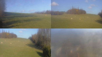 Snímek 7.11.2025 v 13:01