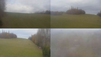 Snímek 8.11.2025 v 11:40