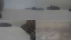 Klub biatlonu Břidličná - Pohledy 1-4 - 1.1.2026 v 08:30 Klub biatlonu Břidličná - Pohledy 1-4 - 1.1.2026 v 08:30