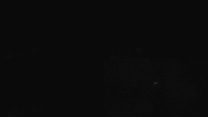 Klub biatlonu Břidličná - Pohledy 1-4 - 26.3.2026 v 00:30 Klub biatlonu Břidličná - Pohledy 1-4 - 26.3.2026 v 00:30