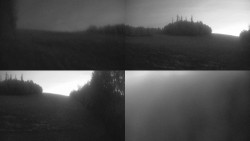 Views 1–4