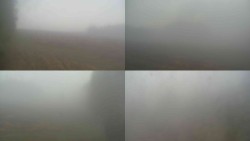 Views 1–4