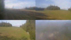 Views 1–4