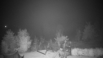 Snímek    25.10.2025 v 05:30