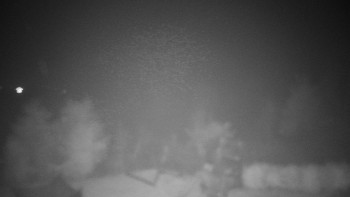 Snímek    25.10.2025 v 20:00
