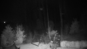 Snímek    28.10.2025 v 03:00