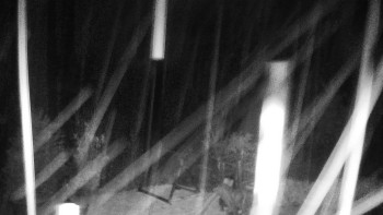 Snímek    3.11.2025 v 01:30